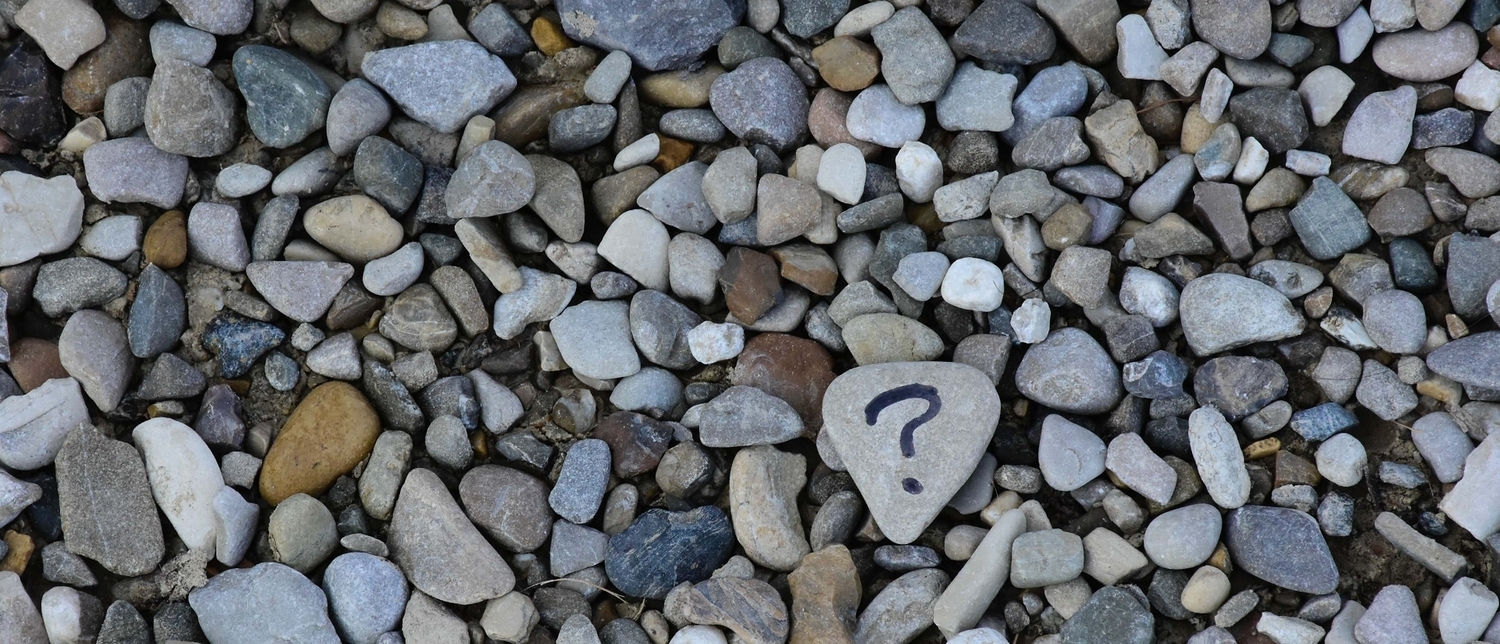 Ana Municio / unsplash.com